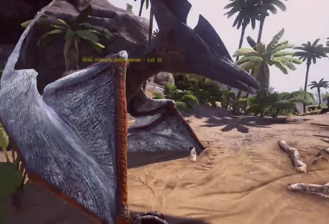 Drop Varighet: Tidsrammer, Hendelsesplaner, Kravfrister