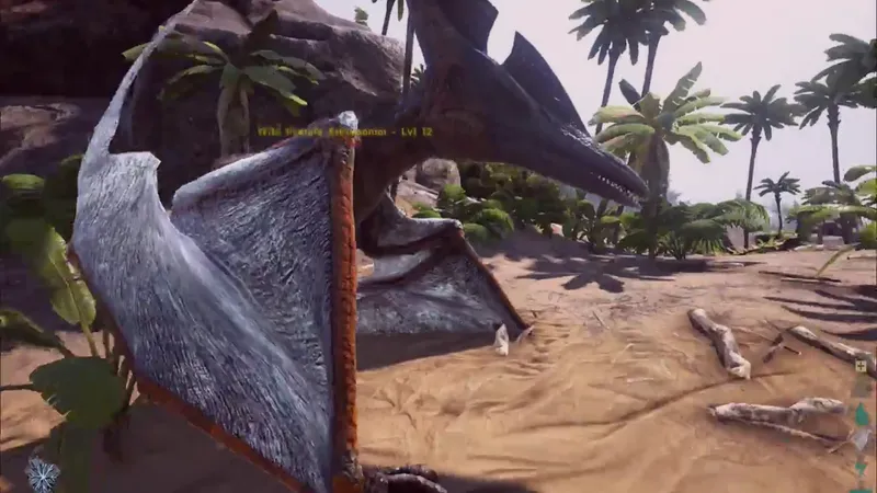 Drop Varighet: Tidsrammer, Hendelsesplaner, Kravfrister