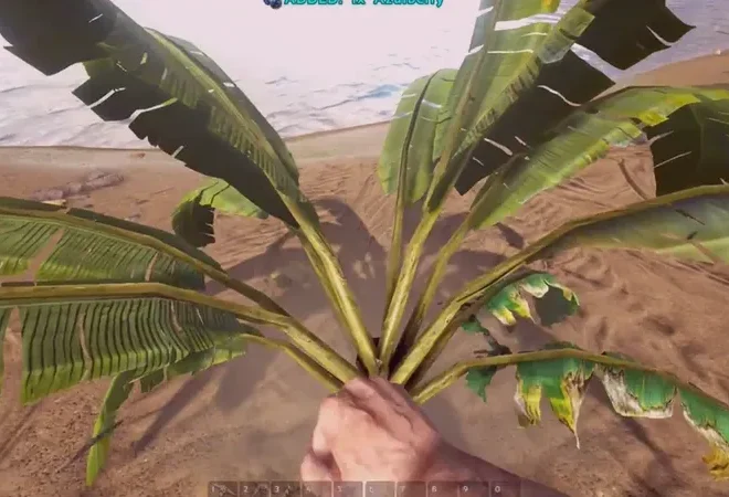 Mount Skin Claims: Estetiske temaer, Kilde til krav, Eksklusivitet for arrangementer