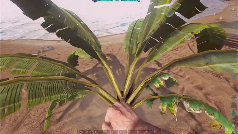 Mount Skin Claims: Estetiske temaer, Kilde til krav, Eksklusivitet for arrangementer